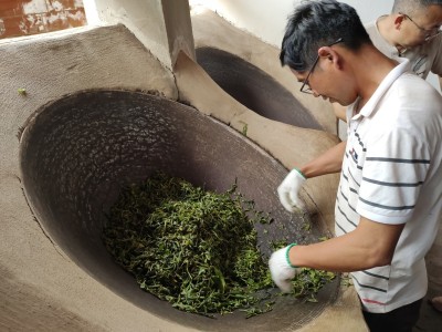 大理永平县云上茶厂绿茶（供应量20吨绿茶）图4