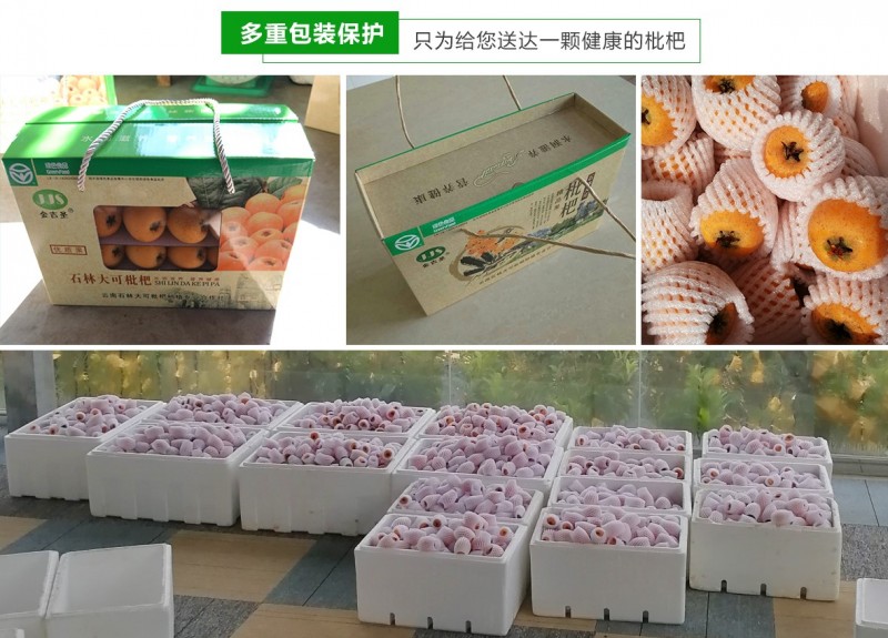昆明石林枇杷种植基地供应量20顿图6