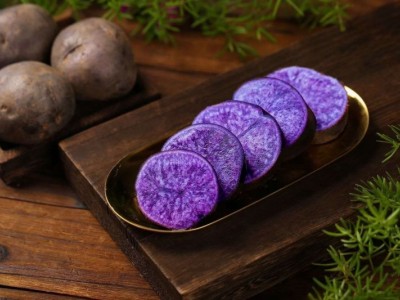 大理黄青素洋芋土豆紫土豆供应量1500亩