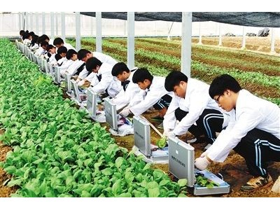 示范推广基地图1