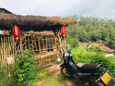 大理巍山正元农庄土鸡、珍珠鸡养殖基地供应量500只图6