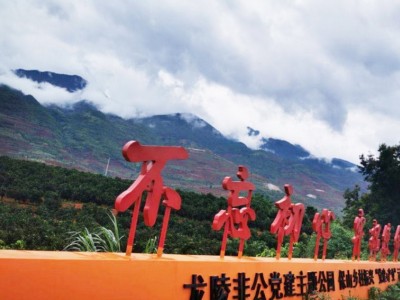 保山龙陵褚橙种植基地图2