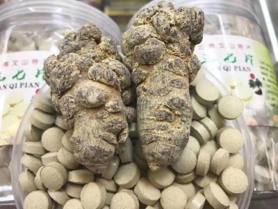 文山三七种植基地供应量3000顿生态种植图2