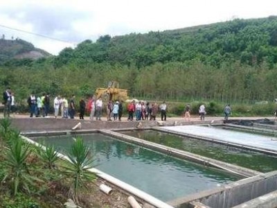 昆明淡水鱼养殖基地供应量10万条图6