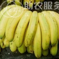 红河香蕉种植基地 供应量 10吨图6
