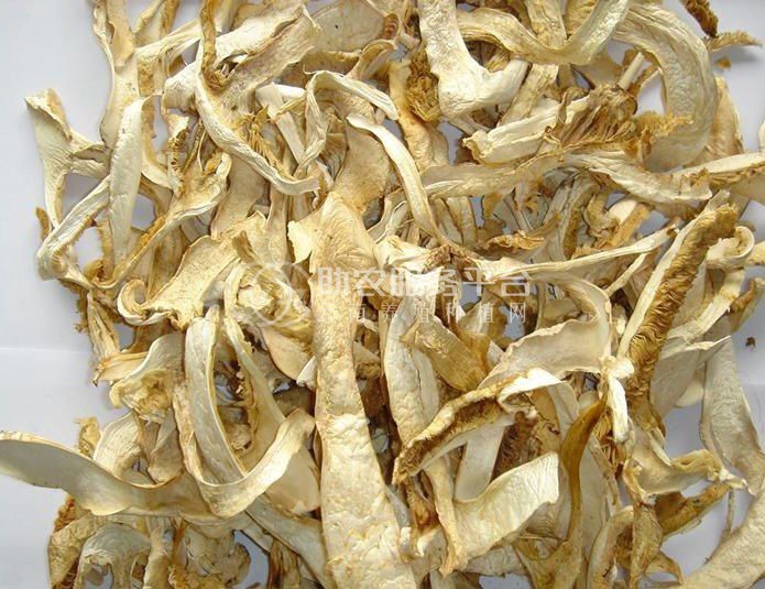 迪庆香格里拉松茸干片供应基地供应量5吨图1