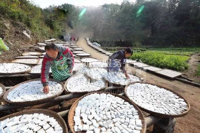 怒江茯苓种植基地供应30吨图2