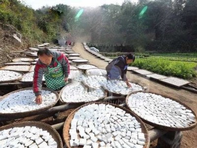 怒江茯苓种植基地供应30吨图2