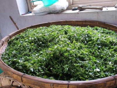 丽江华坪县雪龙春茶业种植基地 供应量 20吨图3