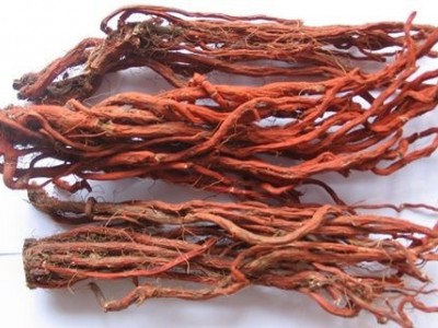 怒江丹参种植基地供应10吨图7