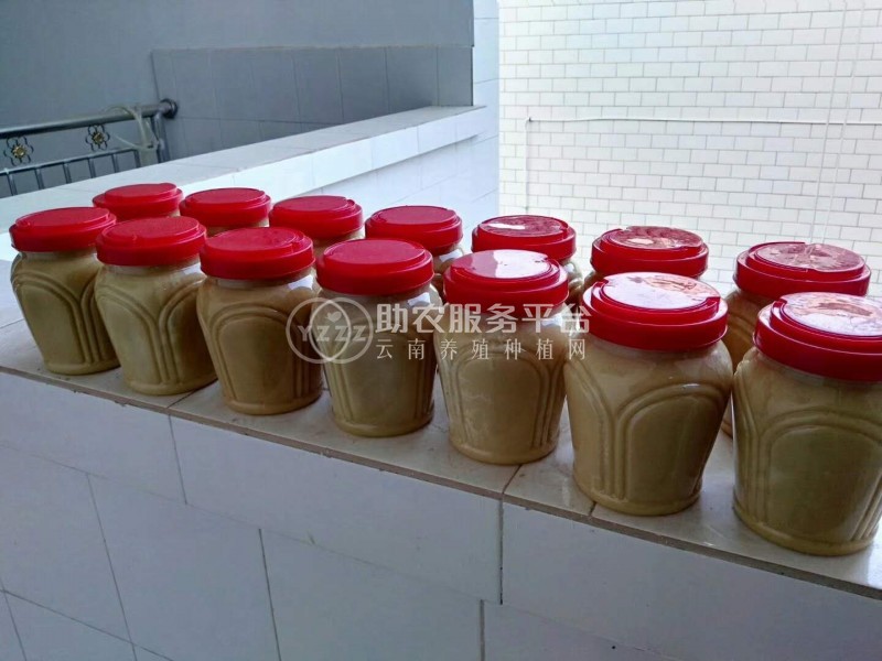 大理蜂蜜养殖基地供应量1吨图2