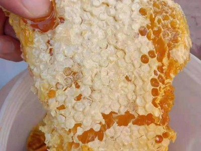 大理蜂蜜养殖基地供应量1吨图3