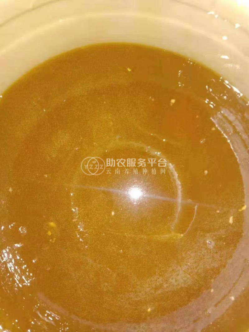 大理蜂蜜养殖基地供应量1吨图4