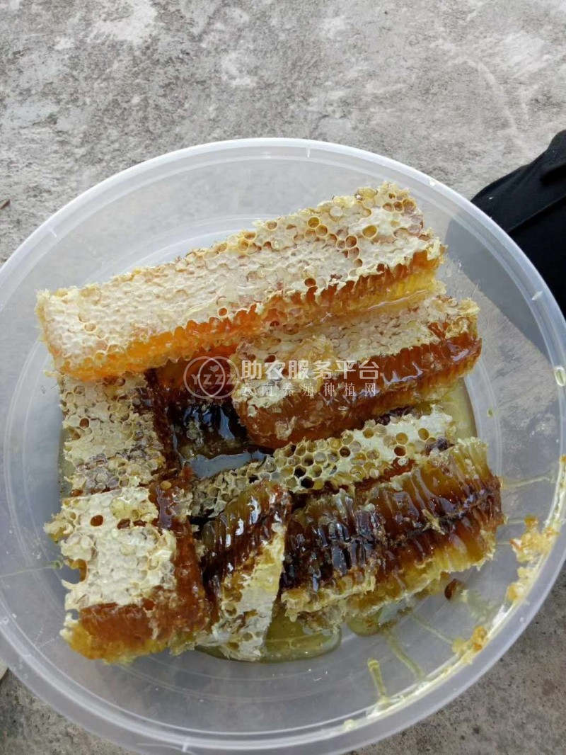 大理蜂蜜养殖基地供应量1吨图5