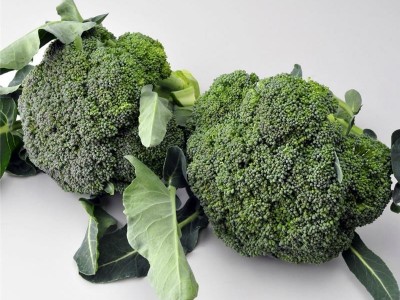 大理弥渡花菜种植基地 供应量 32吨