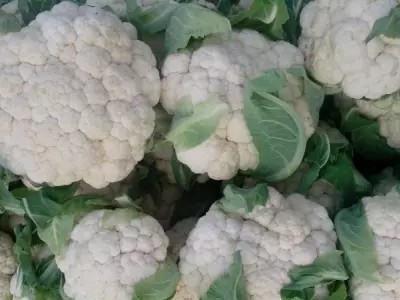 大理弥渡花菜种植基地 供应量 32吨图3