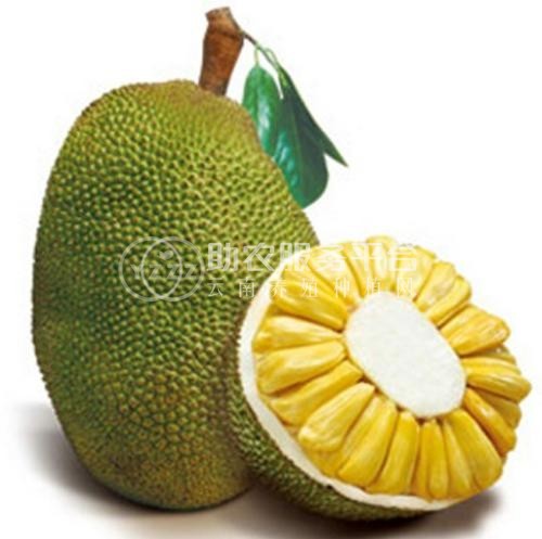 德宏菠萝蜜种植基地供应100吨图5