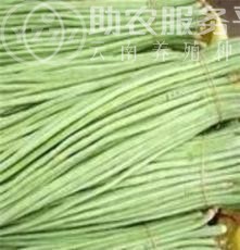 大理弥渡腾银豆角种植基地 供应量 30吨图4