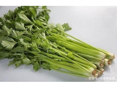 大理弥渡芹菜种植基地 供应量 20吨图6
