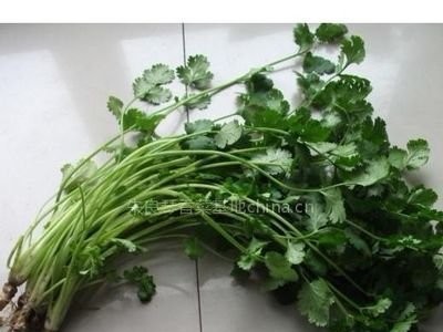 大理弥渡鑫毅种植基地 供应量 30吨图2