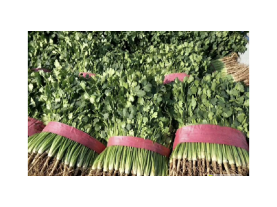 大理弥渡鑫毅种植基地 供应量 30吨图6