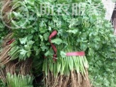 大理弥渡鑫毅种植基地 供应量 30吨图8