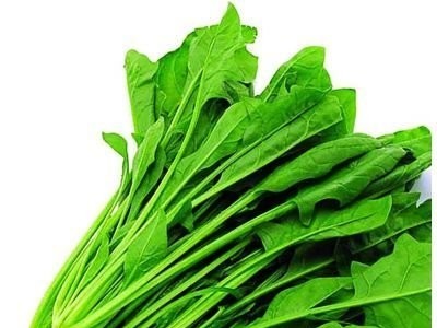大理弥渡思怡波菜种植基地 供应量 40吨图2