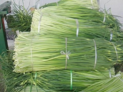 昭通大关县天星镇干文荣蒜薹种植基地供应量 50吨图8