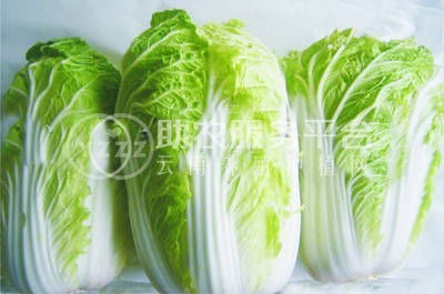 云南忏汇有限公司 15吨图2