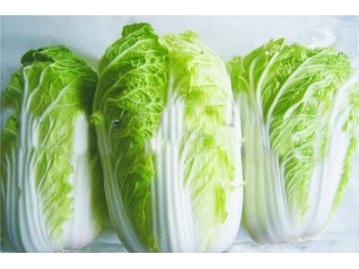 云南忏汇有限公司 15吨图2