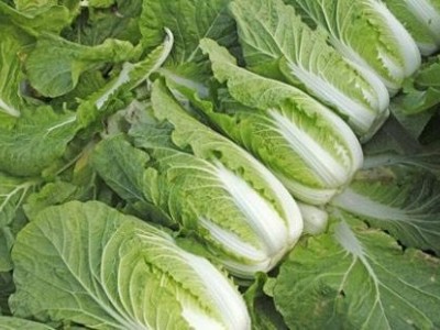 云南忏汇有限公司 15吨图5