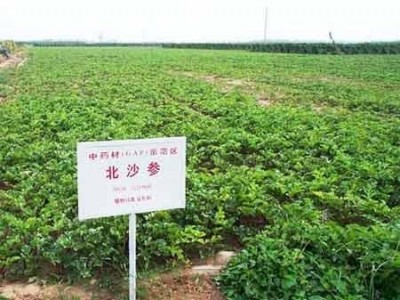 昆明中药材种植基地供应量9吨