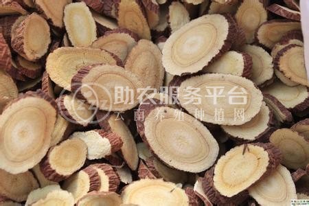 楚雄甘草种植基地供应5吨图1