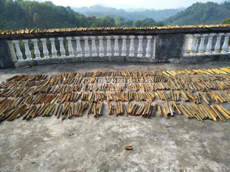 楚雄肉桂种植基地供应5吨图5