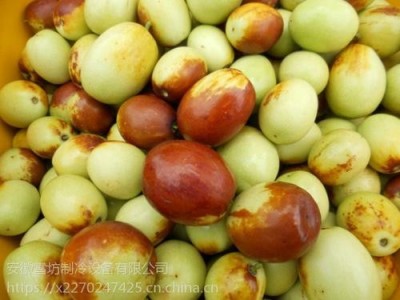 临沧枣子种植基地供应量7吨图5