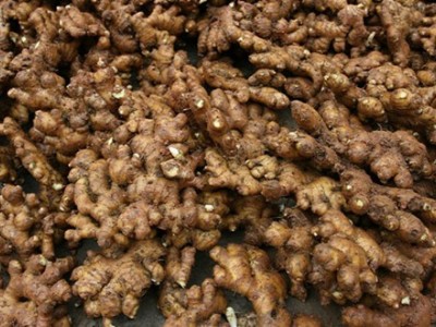 临沧生姜种植基地供应量8吨图7
