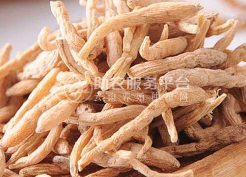 楚雄太子参种植基地供应5吨图1