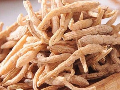 楚雄太子参种植基地供应5吨