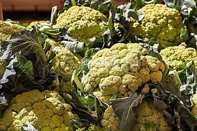 大理市关云蔬菜种植合作社供应量2吨图3
