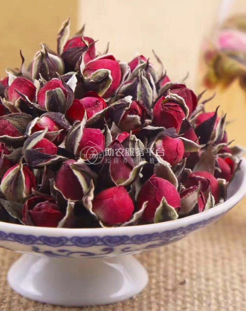 曲靖宣威市方左芬玫瑰花苞种植中心 供应量10吨图4