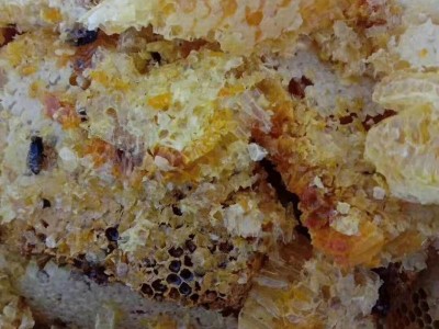 大理巍山野坝蜜蜂养殖专业合作社供应量2吨
