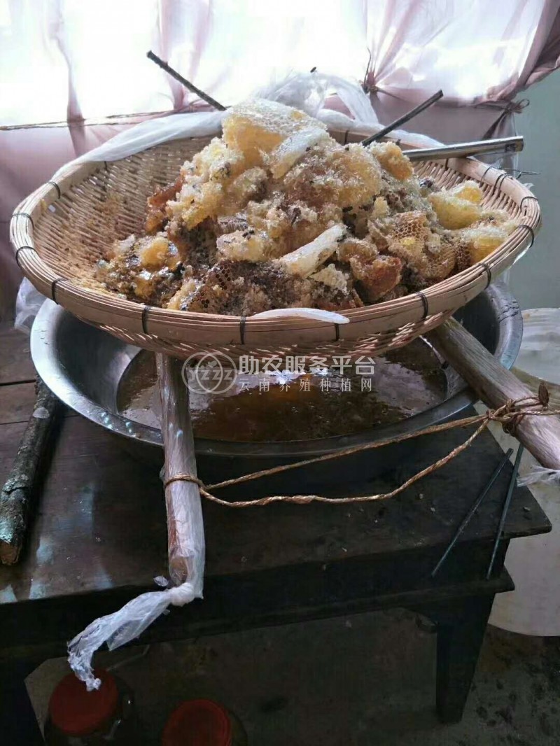 大理巍山野坝蜜蜂养殖专业合作社供应量2吨图5