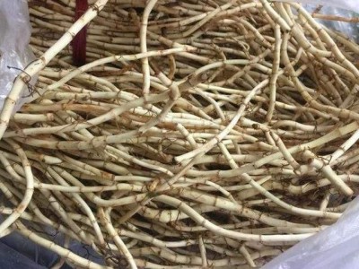 曲靖红班农业鱼腥草种植中心 供应量10吨