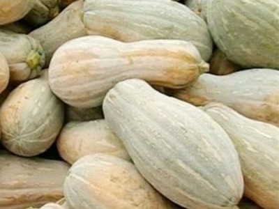 大理蔬菜种植专业合作社供应量5吨图2