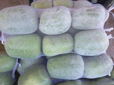 大理冬瓜种植专业合作社供应量10吨图4