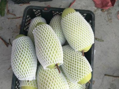 曲靖红班尖嘴芒果种植中心 供应量10吨图2