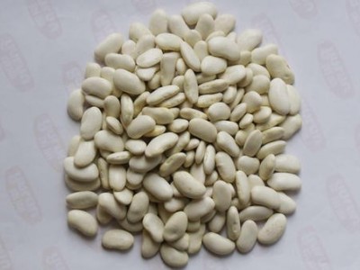 迪庆白芸豆种植基地供应量8吨图8