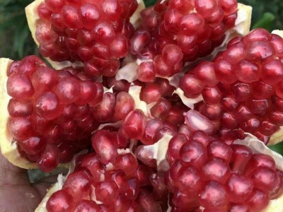 大理双荣水果专业合作社供应量6吨图5