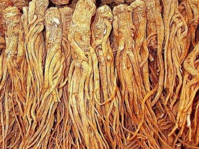 迪庆当归种植基地供应量9吨图6