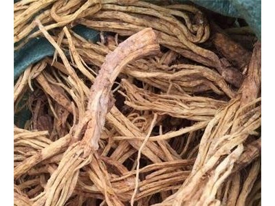 迪庆秦艽种植基地供应量8吨图4